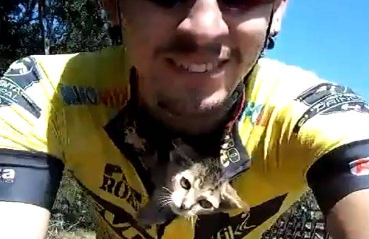 Un ciclista salva a un gatito que le agradece a besos (Video)