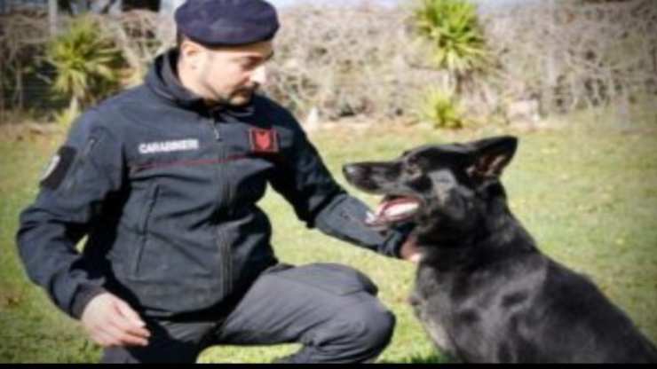 Carabinieri salvano il cane (1)