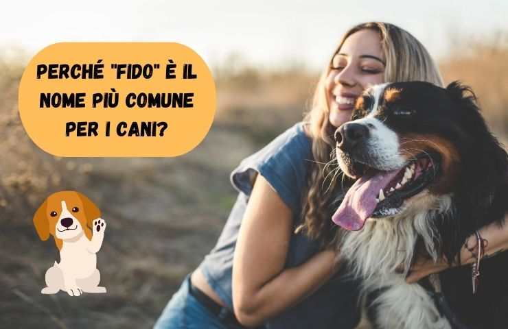 Origine del nome Fido