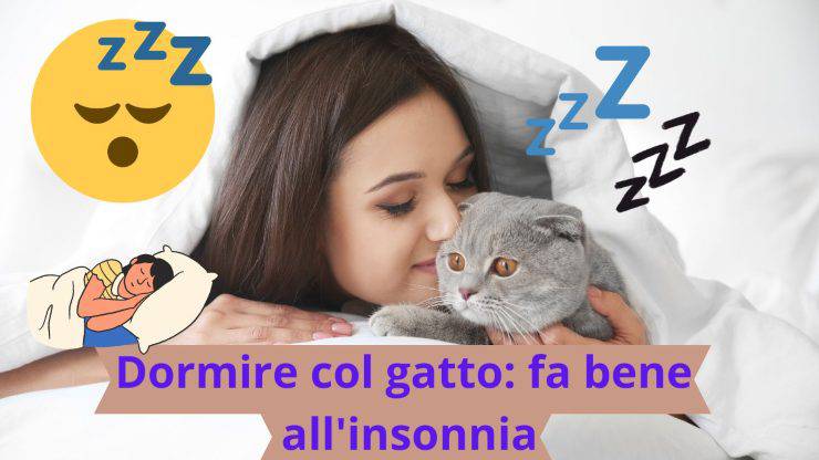 Dormire col gatto