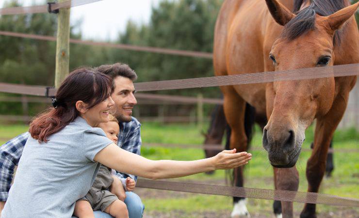 cavallo e famiglia