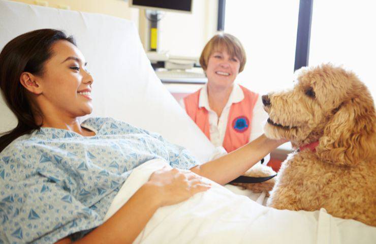 Pet therapy in ospedale