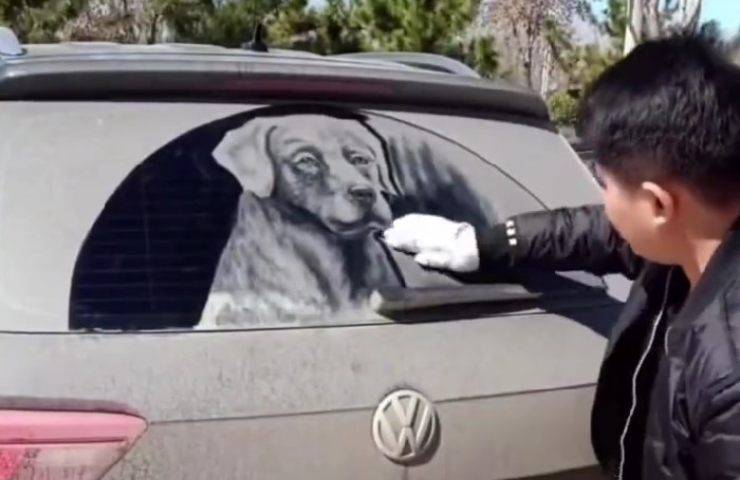retrato de perro en coche