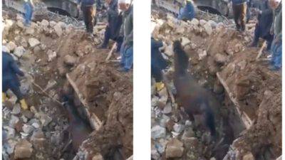 Turchia cavallo macerie cielo