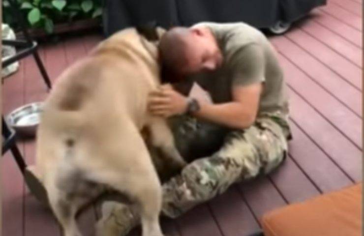Soldato cane incontro emozionante