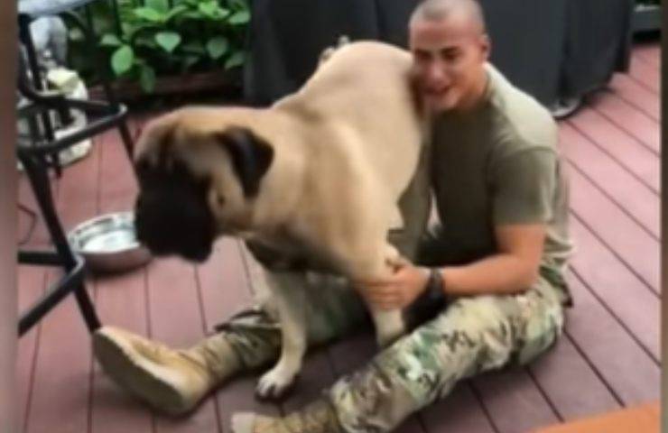 soldato casa cagnolino incontro