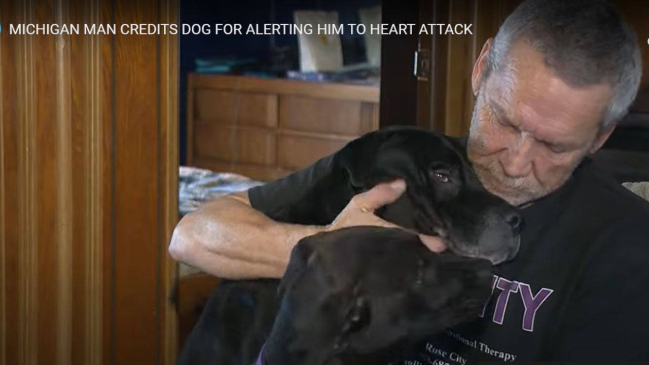 Il cane gli salva la vita svegliandolo di colpo: poteva essere morto ...