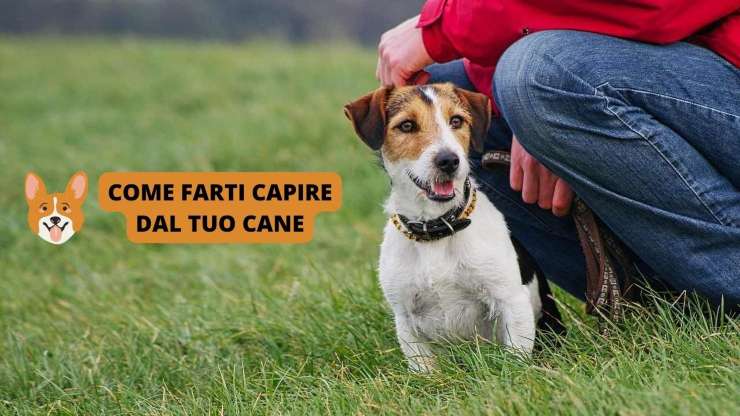 come farsi capire dal cane 