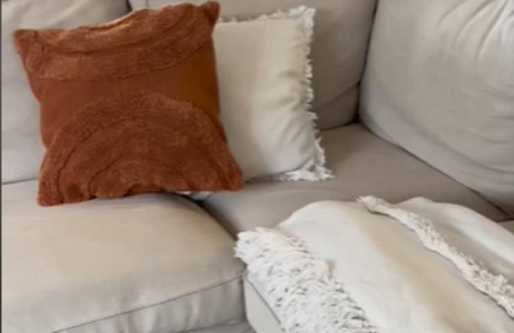 divano cuscini nascondiglio gattini