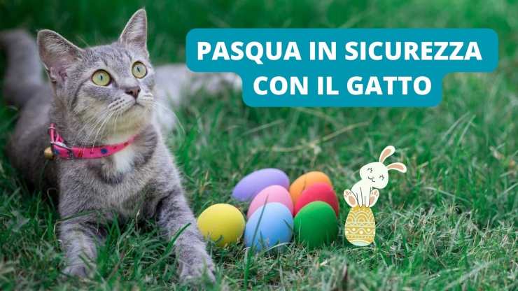 Imbottitura Per Cintura Di Sicurezza 2 Pezzi – Protezione Morbida Con Motivo Gatto, Traspirante, Lavabile Per Auto