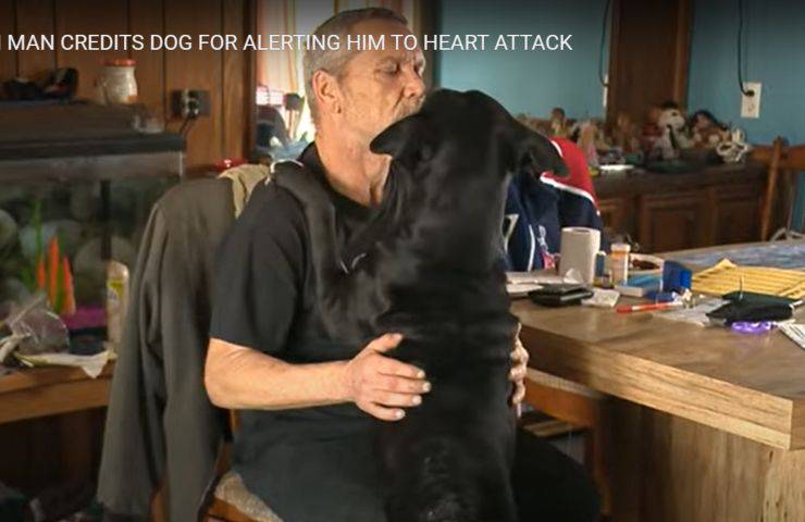 cane sveglia umano infarto
