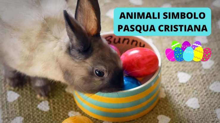 animali simbolo pasqua 