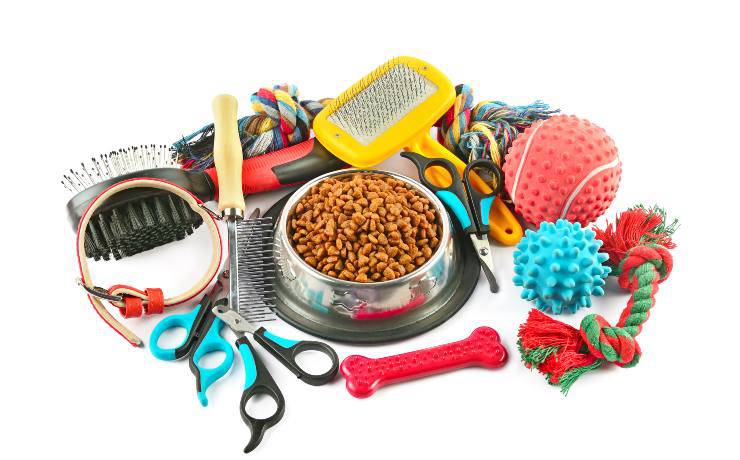 spazzole e accessori per cani