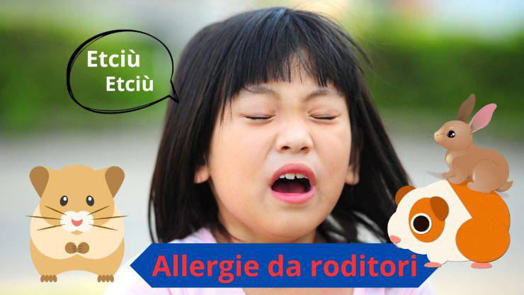 Allergia da animali