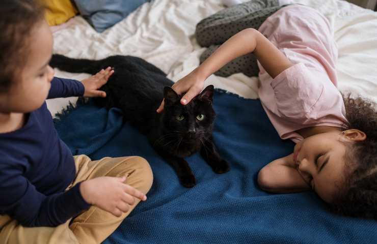 Bambini con gatto sul letto