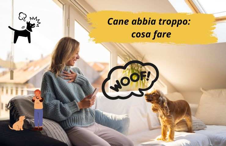 Cane abbaia sul divano