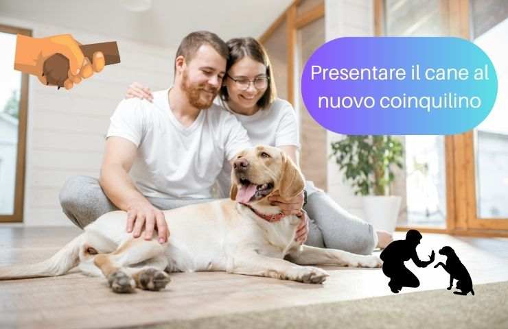 Cane con nuovo arrivato