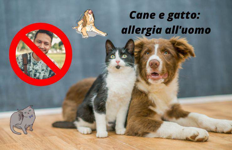 Cane e gatto allergico all'uomo