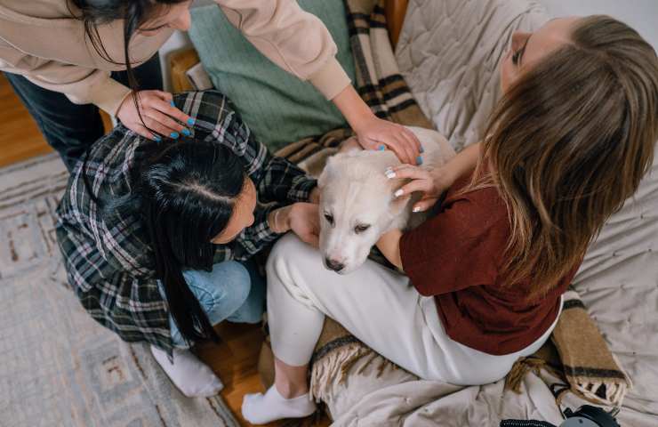 Cane tra le donne