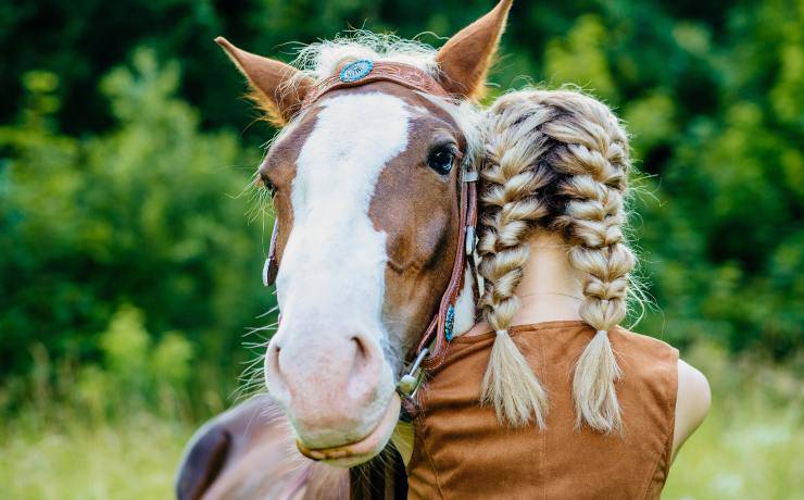 cavallo e bambina