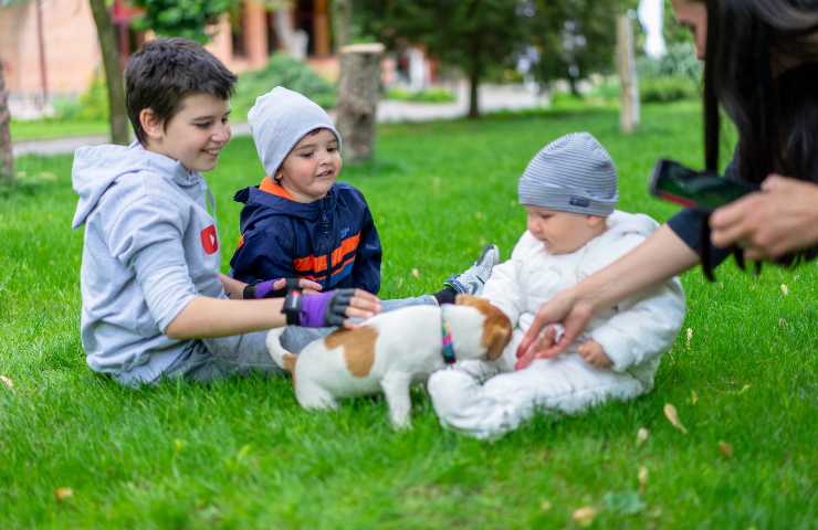 Cucciolo con neonato