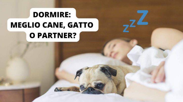 dormire con il cane 