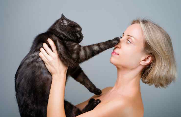 Gatto con la zampa sul naso della donna