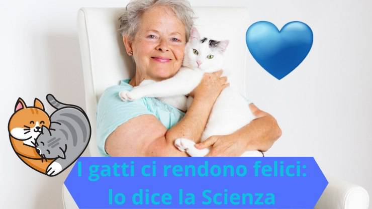 I gatti ci rendono felici