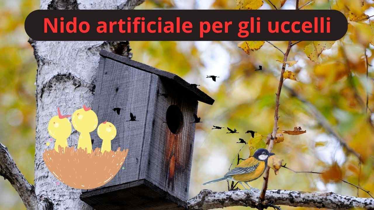 ZYAMY Nido Artificiale In Rattan Per Uccelli – 12,2 Cm, 2 Pezzi, Decorazione Rustica Per Giardino E Fai Da Te - 4