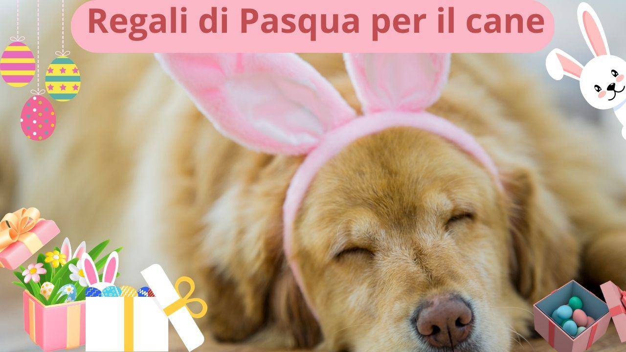 Calze Personalizzate Per Gli Amanti Dei Cani - Calze - Foto 8