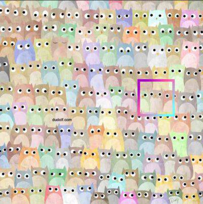 Soluzione del test trova l'intruso tra i gufi