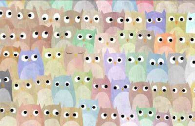 Test trova l'intruso tra i gufi