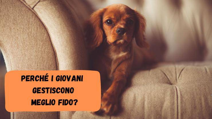 I giovani sanno gestire meglio il proprio cane