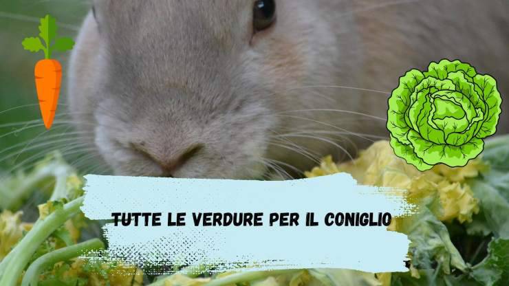 Verdure per il coniglio