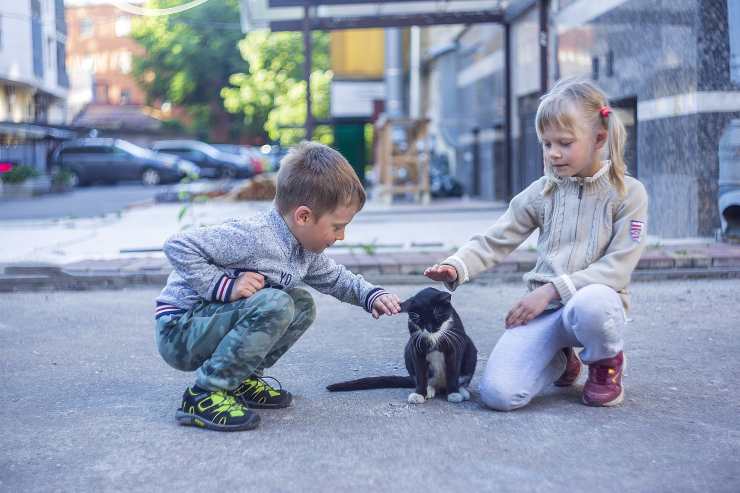 bambini con gatto