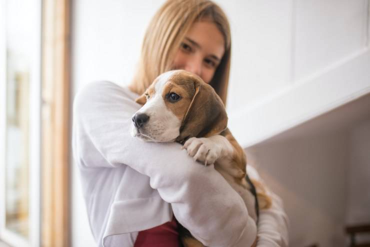 Fido e l'addestramento domestico