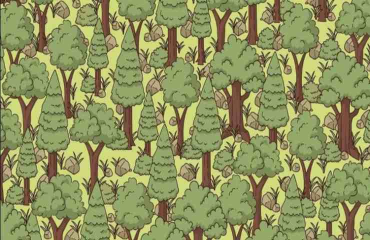 Trova il riccio nascosto nella foresta in 7 secondi 