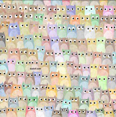 trova l'intruso tra i gufi nel tempo stabilito