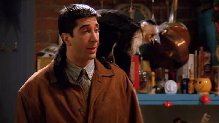 Animali di Friends