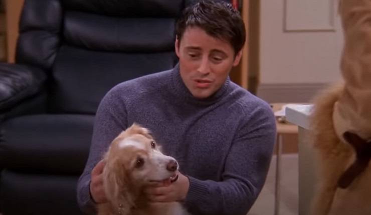 Animali di Friends