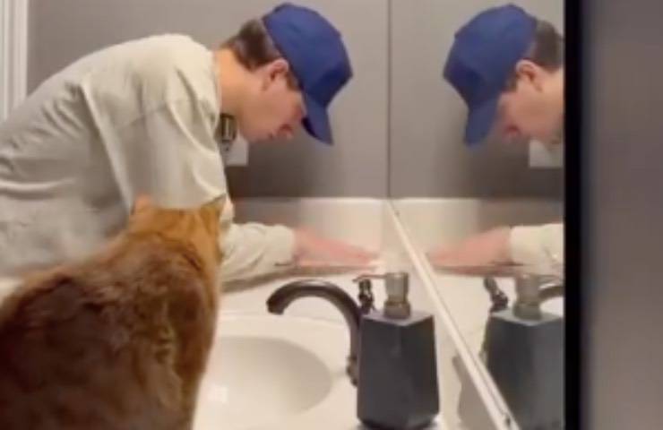 ragazzo interpreta quotidianità felino 