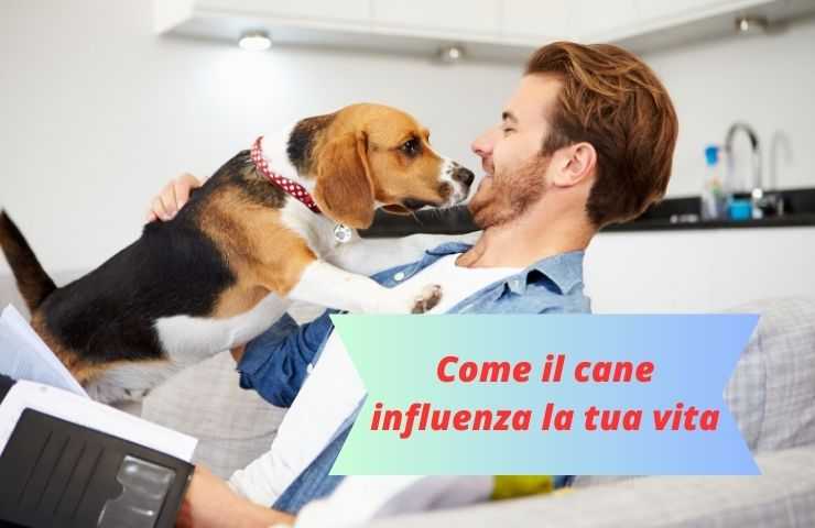 Cane cerca l'attenzione dell'uomo