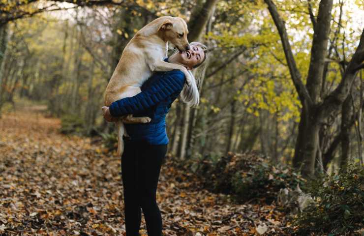 Cane dimostra affetto alla donna