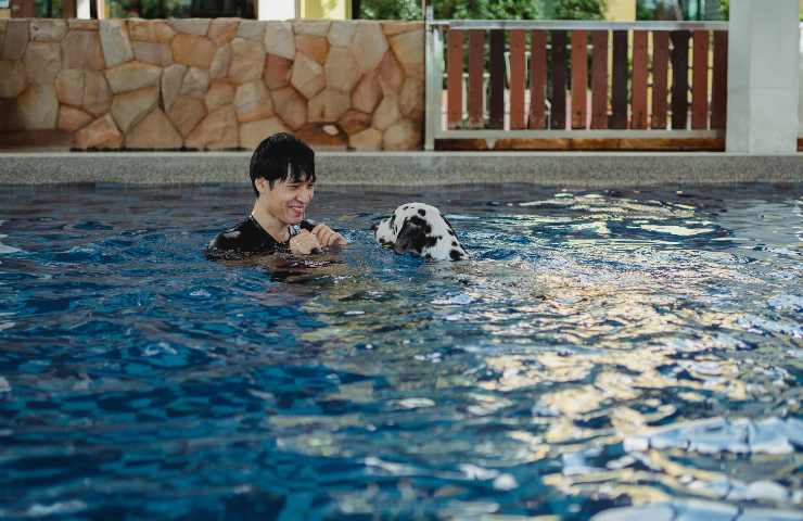 el perro nada en la piscina