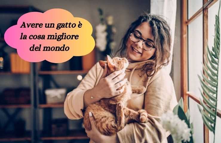 Donna felice con il gatto