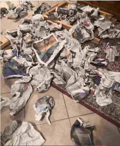 Il Test visivo dell'intruso nascosto riuscirete a trovarlo?