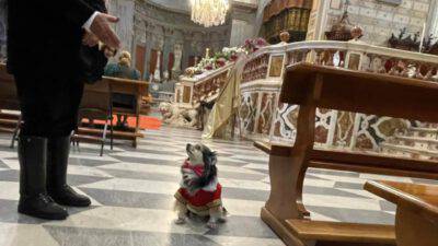 cane chiesa funzione religiosa