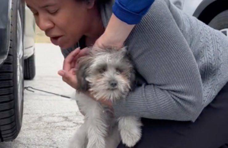 cagnolina recupero gioia abbraccio