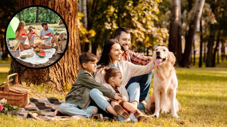 pic nic con il cane