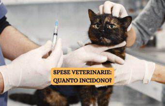 spese veterinarie quanto incidono
